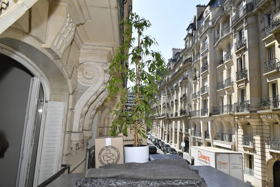 Plante et couvertures de protection sur un balcon haussmannien pendant un déménagement DEMEX