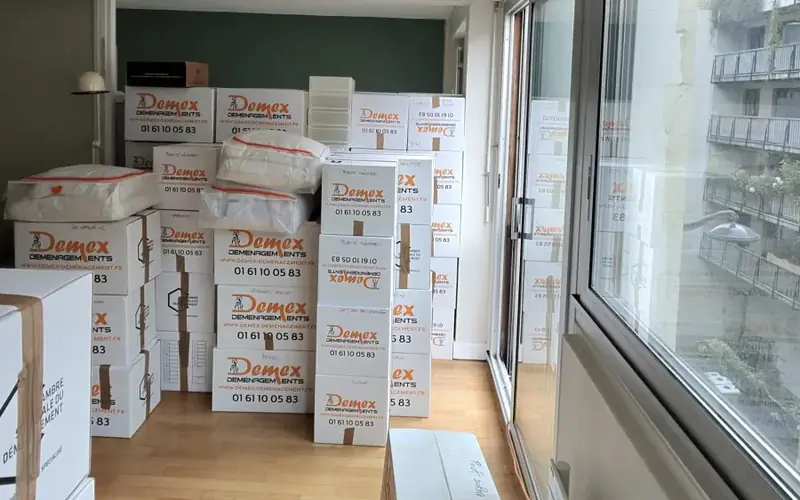 Cartons de déménagement DEMEX empilés dans un appartement