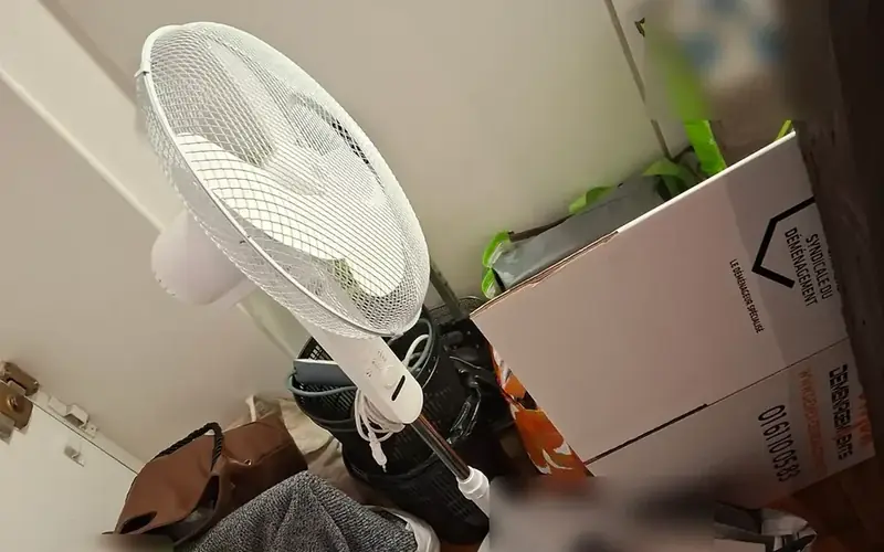 Logement à vider par DEMEX : ventilateur, sacs et carton DEMEX