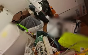 Objets à trier lors d’un débarras DEMEX : câbles, sacs et cartons