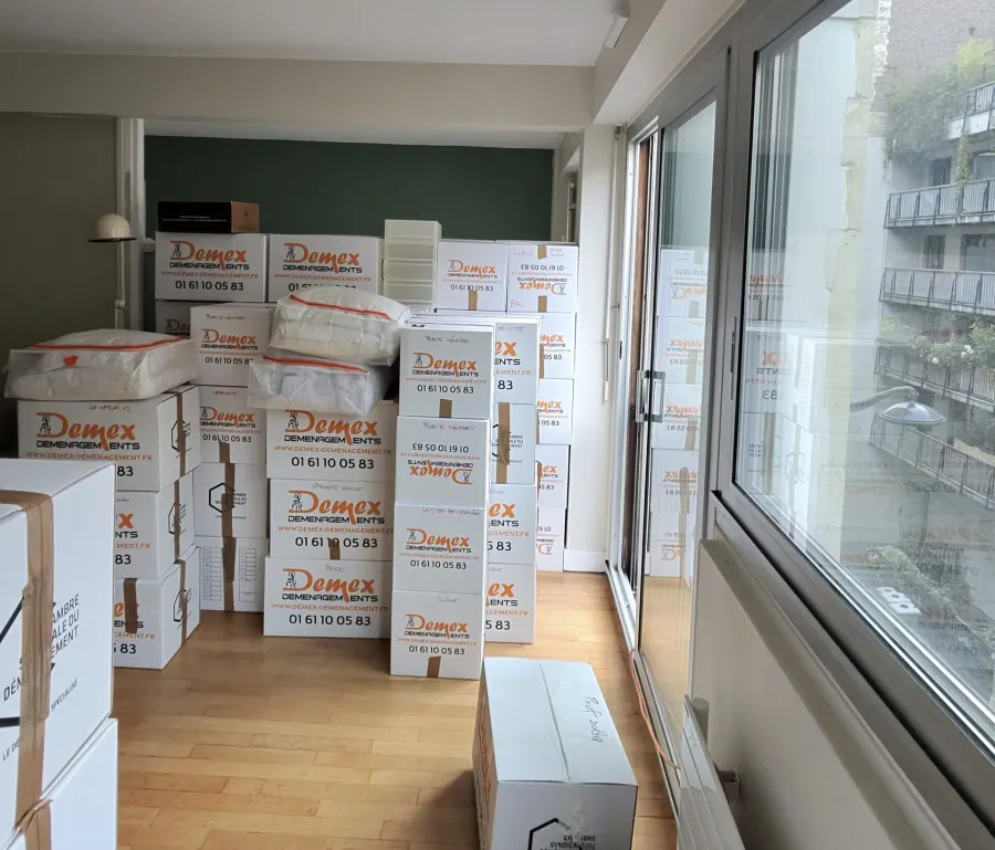 Cartons de déménagement DEMEX empilés dans un appartement