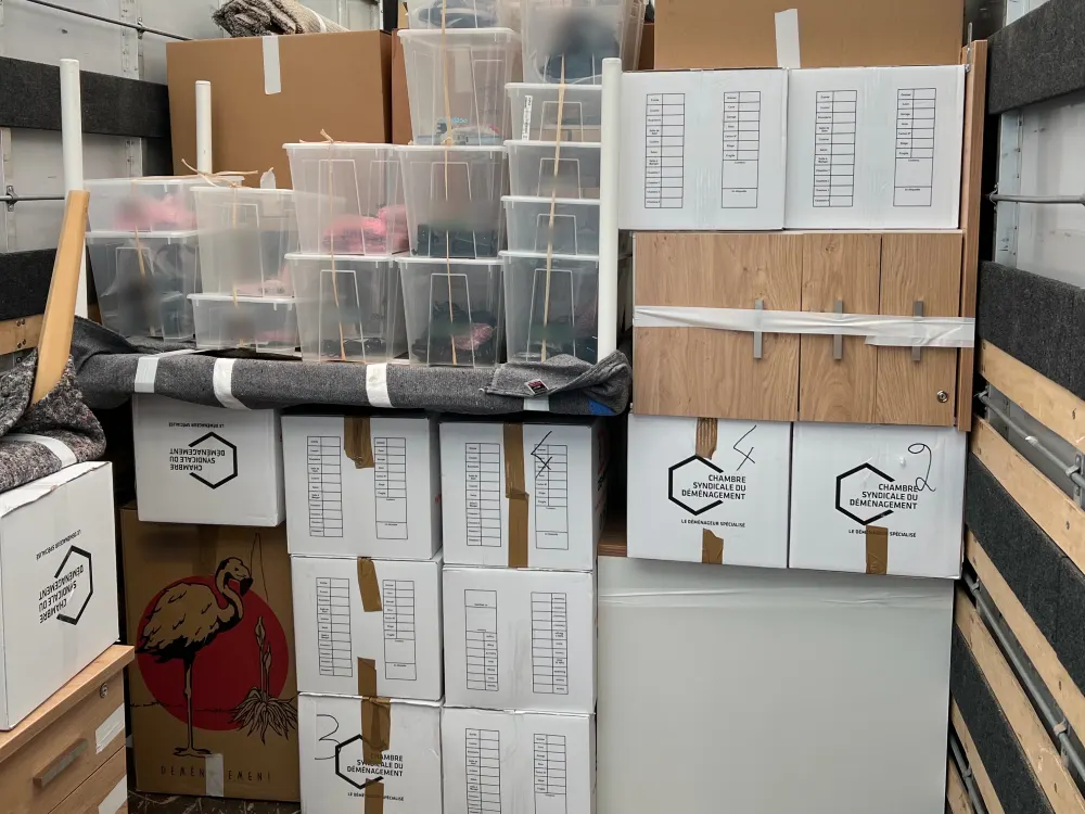 Camion DEMEX chargé de cartons Chambre Syndicale du Déménagement et de bacs protégés lors d'un déménagement de particulier
