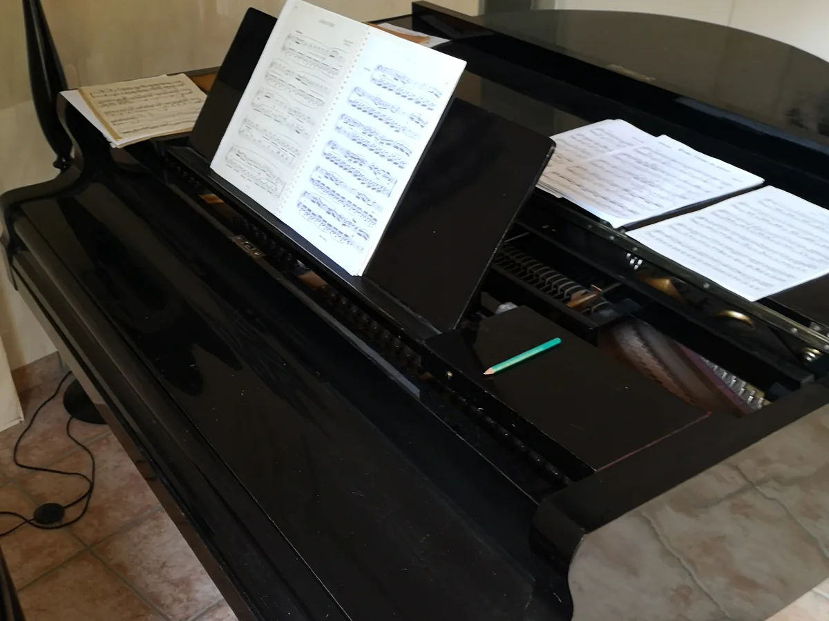 Piano à queue avant déménagement par DEMEX